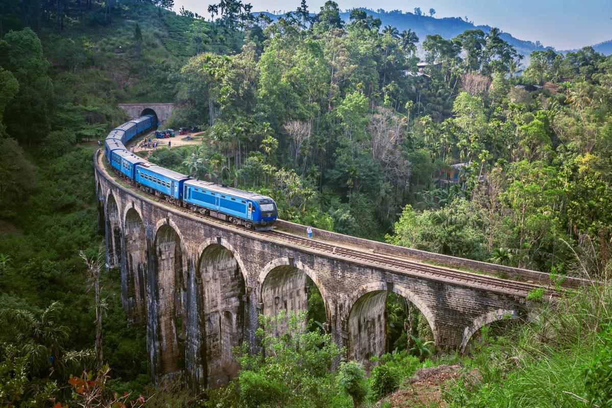 Train passing through tea country