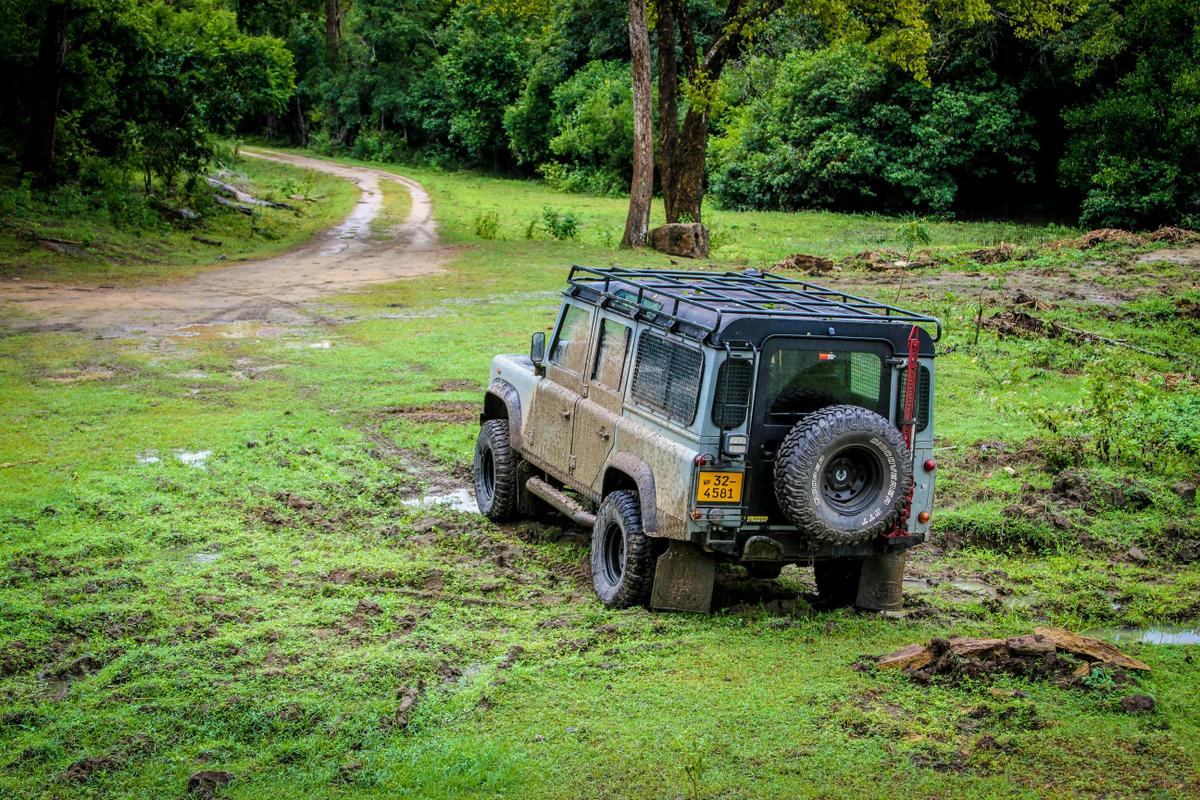 Safari jeep on a dirt track